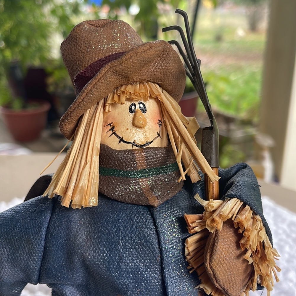 🎃NWOT Harvest Scarecrow with Pumpkin Body Hat and Rake ☀️🍁🍂🐦‍⬛